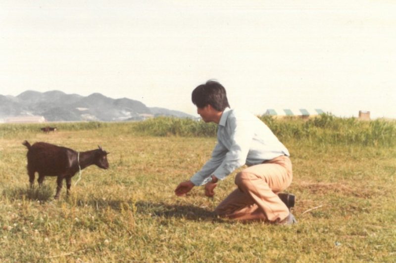 을숙도 20