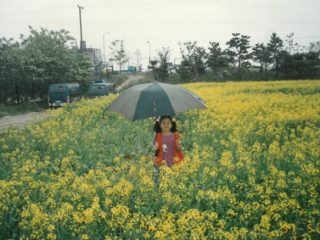 을숙도 34