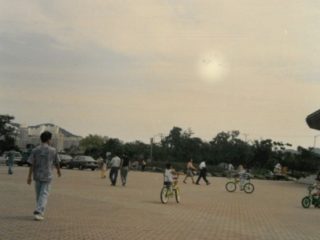 1993년 을숙도 4