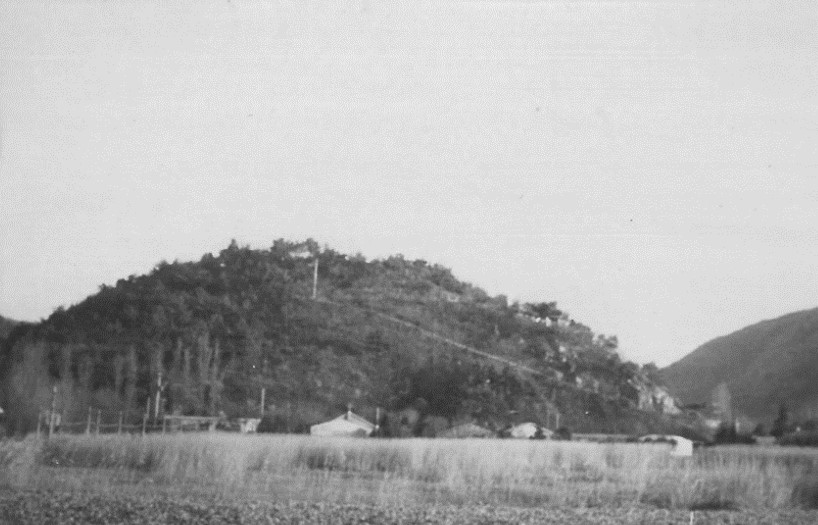 eden park background