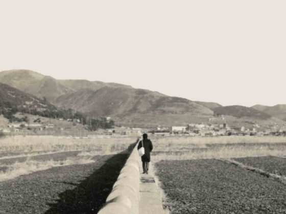 lower leg cover adjustment