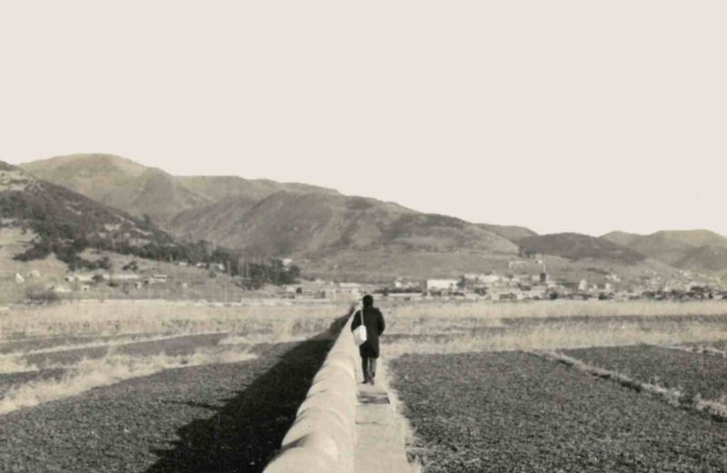 lower leg cover adjustment