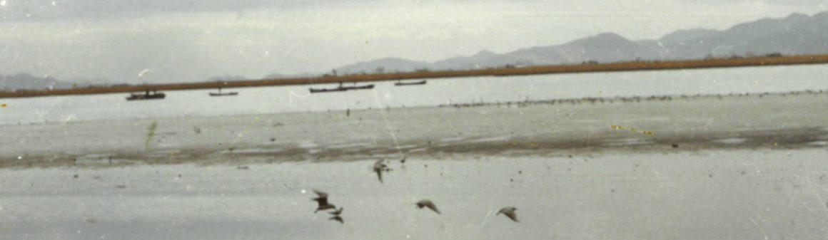 하단전경